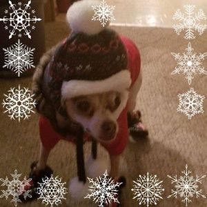 Meet your Posher, Shariann